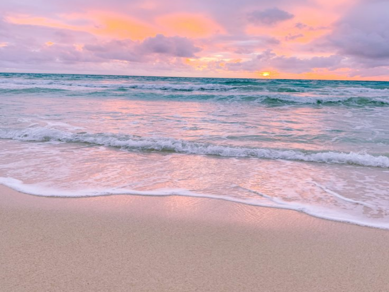 3 Nights & 4 Days Bhitarkanika Group Tour