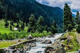 2 Nights & 3 Days  Delhi to Kashmir