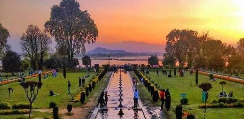 7 Nights 8Days Kashmir Trip