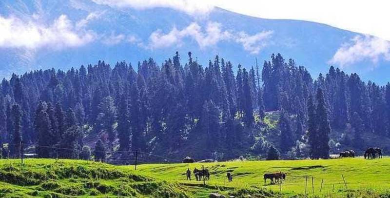 8 Nights 9 Days Kashmir Tour