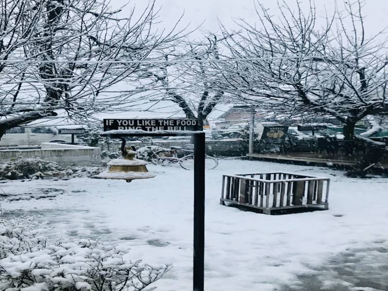 5 Nights 6 Days Shimla - Kullu - Manali Tour Package