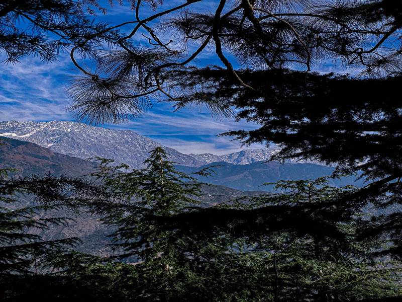 5 Nights 6 Days Dharamshala - Khajjiar - Dalhousie Tour Package