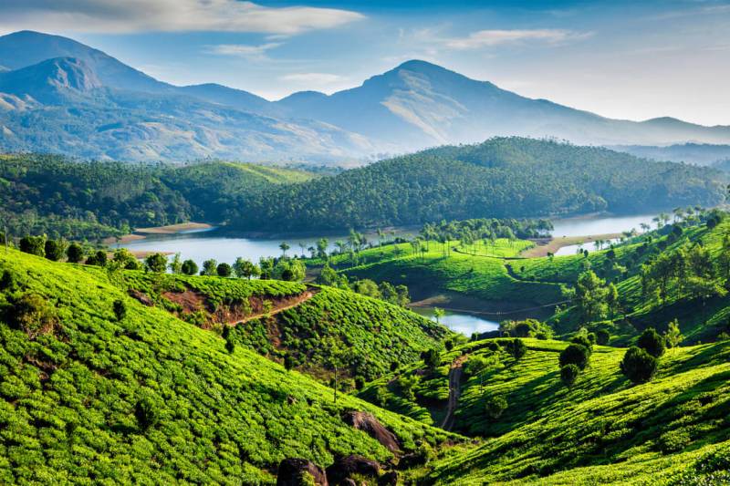 3 Nights 4 Days Munnar - Thekkady Tour Package