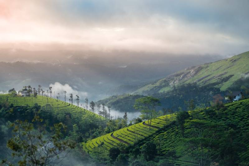 3 Nights 4 Days Munnar - Thekkady Tour Package