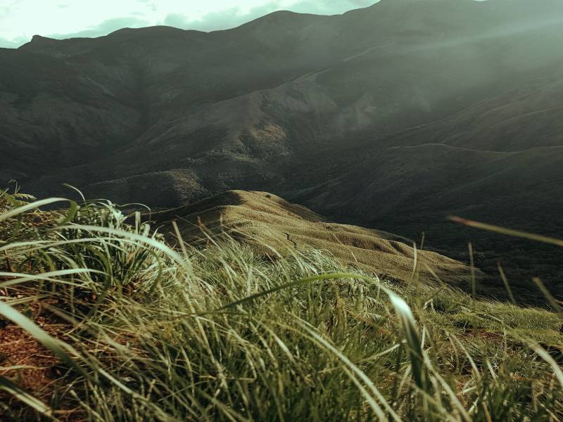 3 Nights 4 Days Munnar - Thekkady Tour Package