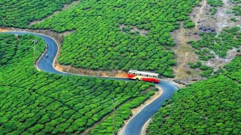 3 Nights 4 Days Munnar - Alleppey Tour Package