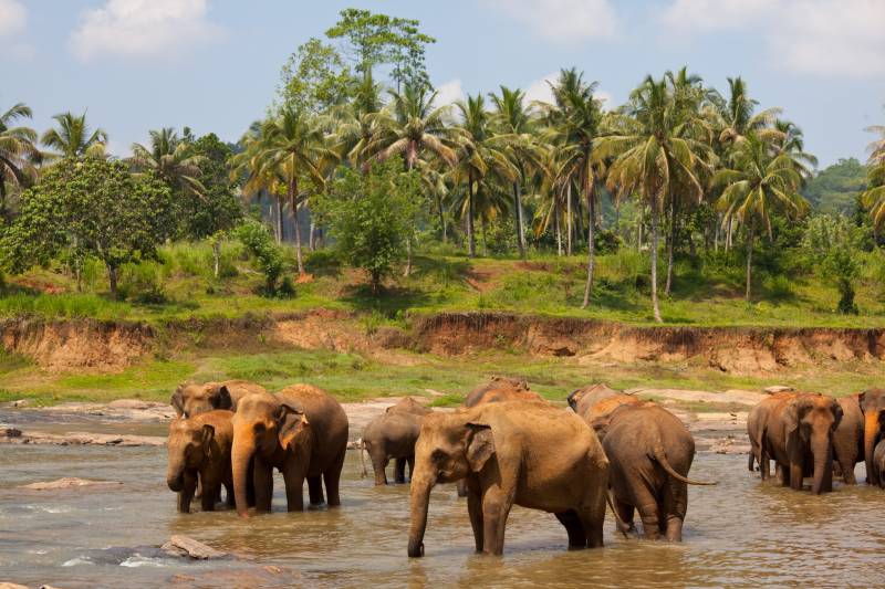 5 Nights 6 Days Kerala Tour Package