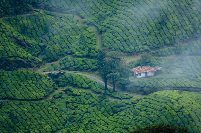 5 Nights 6 Days Kerala Tour Package