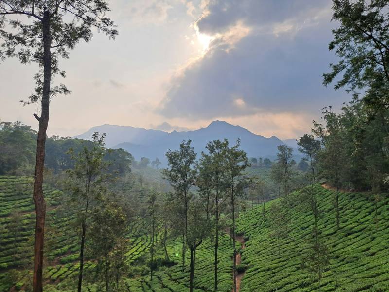 2 Nights 3 Days Wayanad Weekend Tour Package