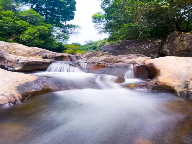 2 Nights 3 Days Wayanad Weekend Tour Package