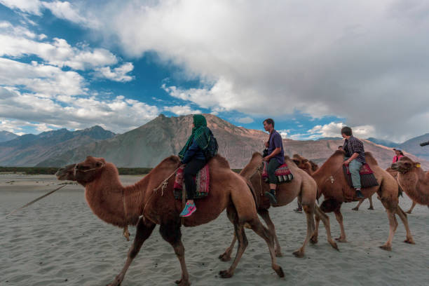 Enchanting Ladakh