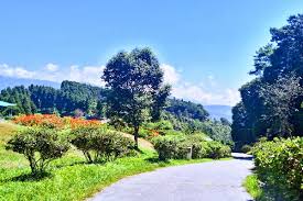 5 Nights 6 Days Gangtok - Kalimpong - Darjeeling Tour