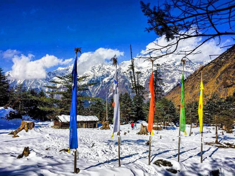 8 Days Gangtok-Lachen-Lachung-Pelling Tour