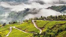 Darjeeling Tour package