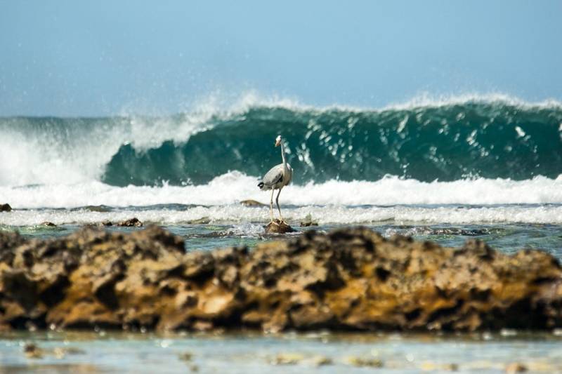 Local Experience 4 nights Guraidhoo