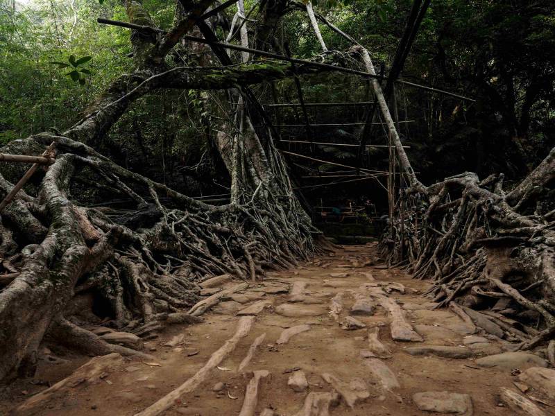 4 Nights 5 Days Meghalaya Tour Package