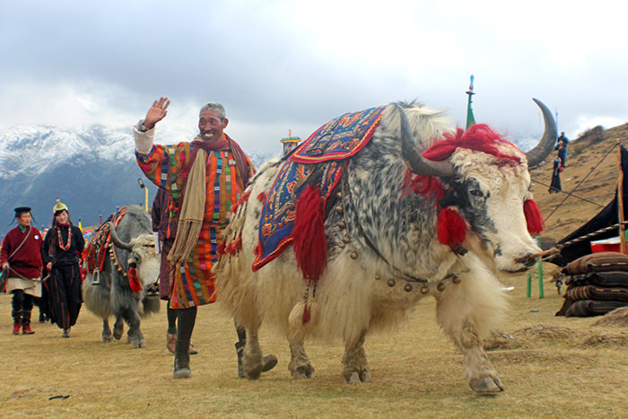 The Royal Highlander Festival/ Fixed Departure