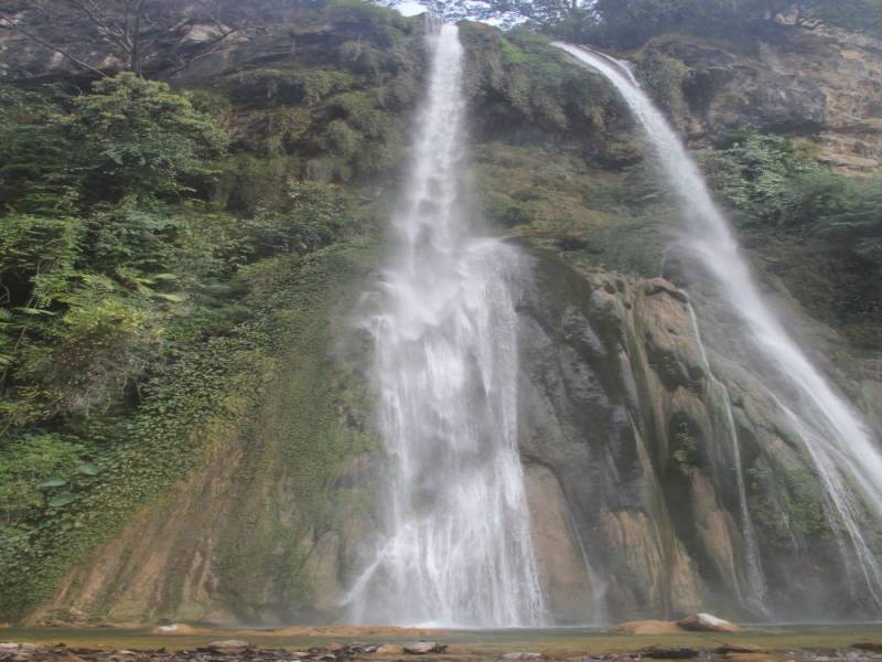 Royal Manas Safari / Wildlife Tour