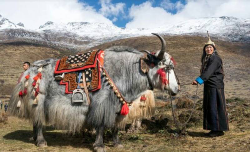 Royal Manas Safari / Wildlife Tour