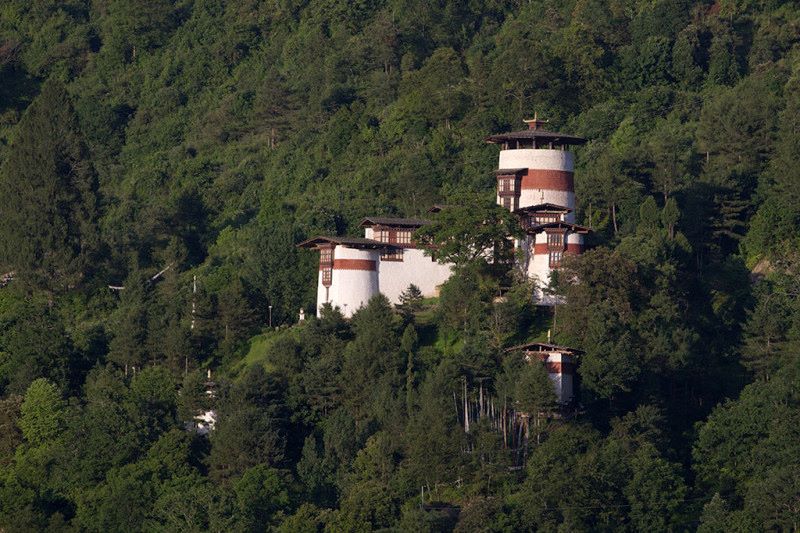 Royal Manas Safari / Wildlife Tour