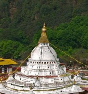 Royal Manas Safari / Wildlife Tour