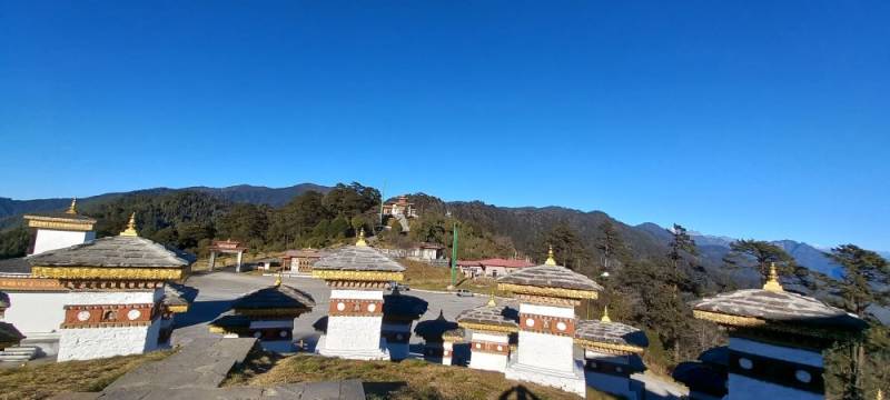 Royal Manas Safari / Wildlife Tour