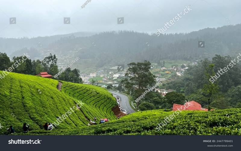Bangalore Mysore Coorg Wayanad Ooty