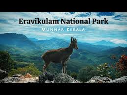 6 Nights & 7 Days Munnar to Trivandrum Kerala Package