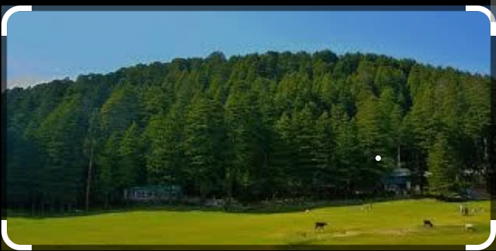 4 Night 5 Days Dalhousie Dharamshala Amritsar Tour