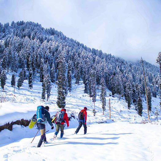 4 Nights 5 Days For 4 Adults Kashmir Tour