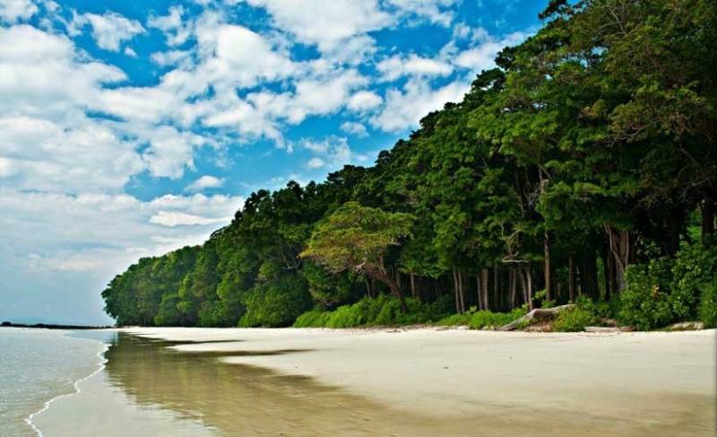 Andaman Group Tour 4 Night - 5 Days