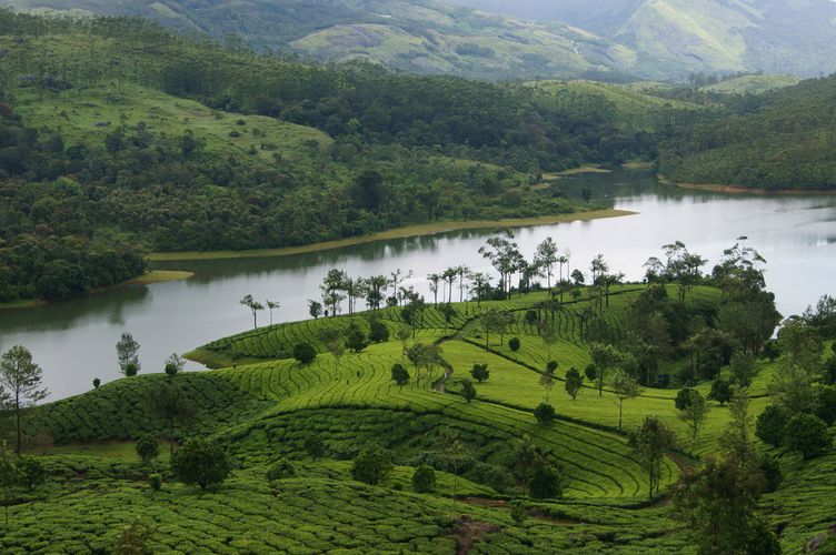 3 Night 4 Day Munnar - Alleppey Tour Package
