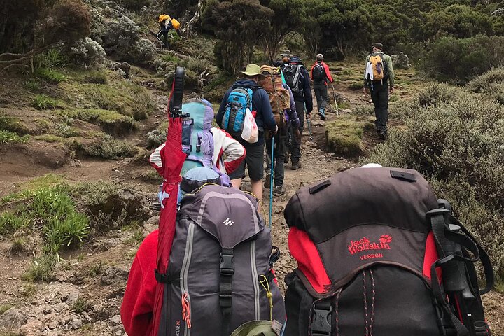 Summit Serenity: 6-Day Kilimanjaro Climb via Machame Route