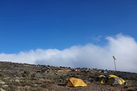 8-Day Kilimanjaro Climbing Expedition: Lemosho Route