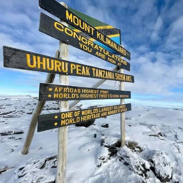 Umbwe Route: 6-Day Kilimanjaro Challenge