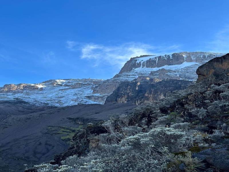 Umbwe Route: 7-Day Kilimanjaro Adventure