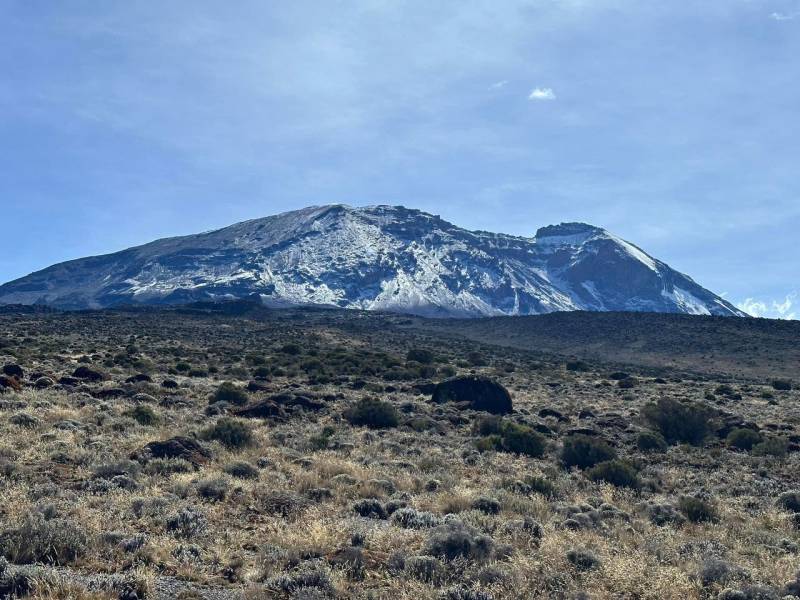 Umbwe Route: 7-Day Kilimanjaro Adventure