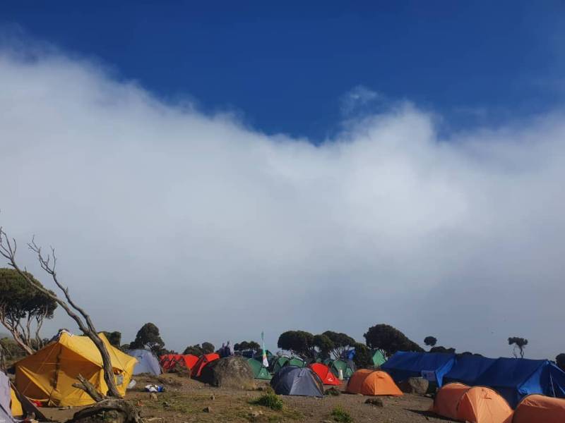 Rongai Route: 7-Day Kilimanjaro Expedition