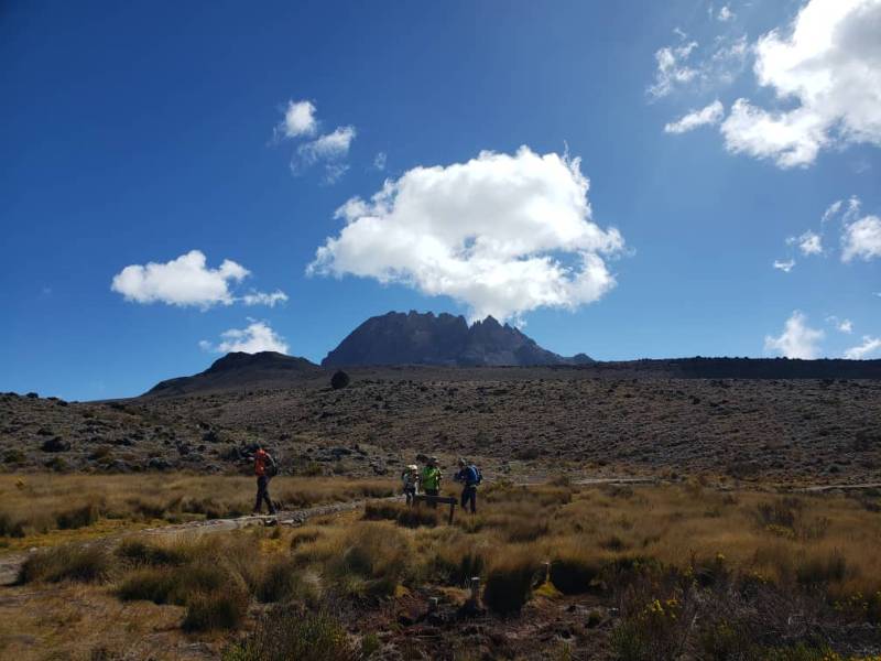 Lemosho Route: 6-Day Kilimanjaro Adventure