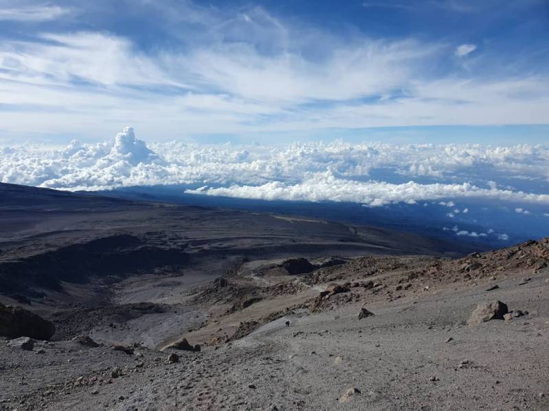 Northern Circuit Route: 8-Day Kilimanjaro Expedition