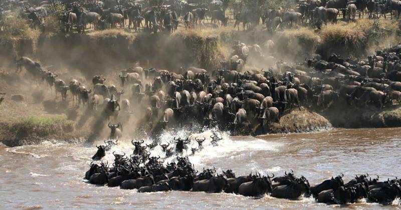 5 Days Serengeti Migration Safari