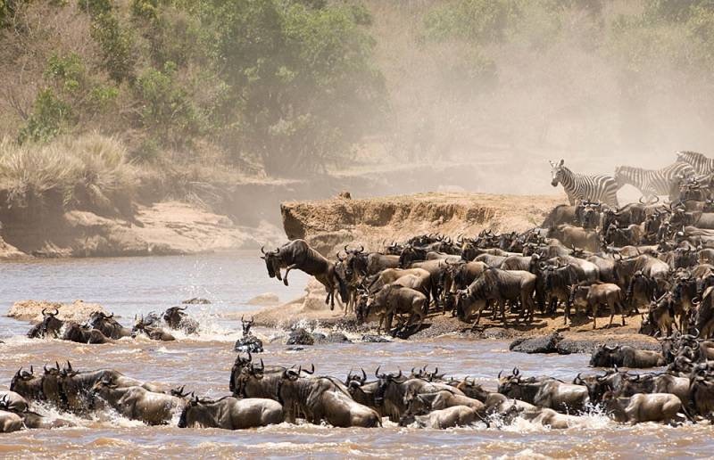 5 Days Serengeti Migration Safari