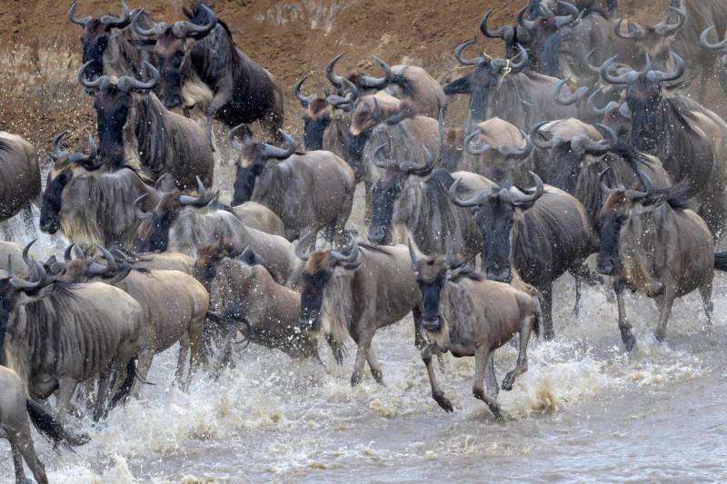 6-Day Serengeti Migration Safari