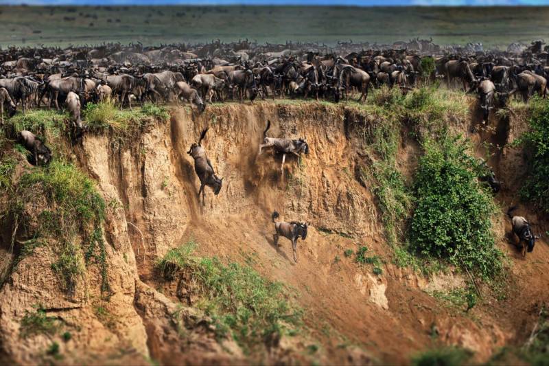 7 days Serengeti Migration safari Package