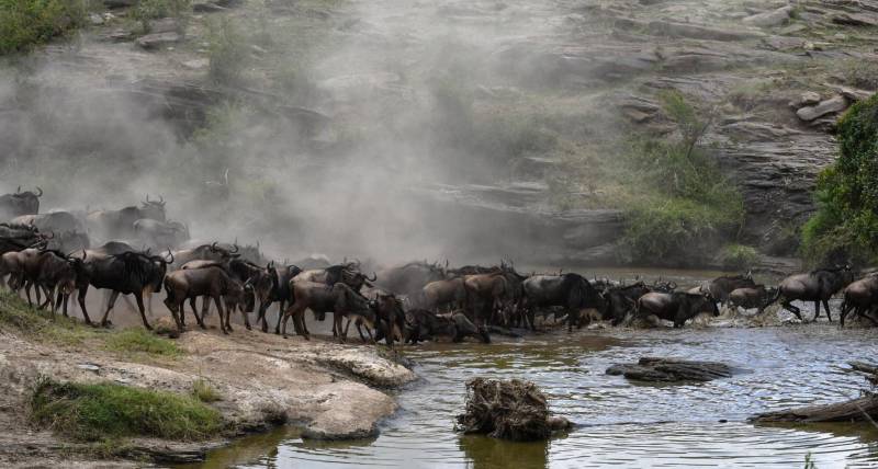 8-Day Serengeti Migration Safari