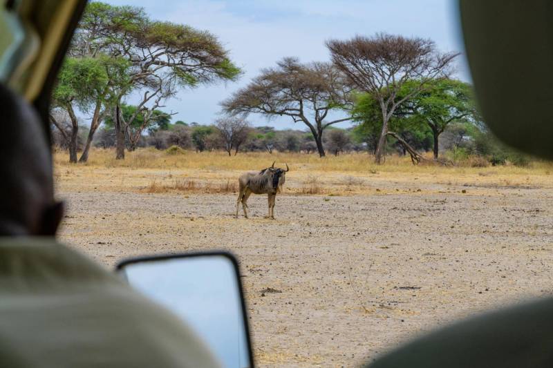 8-Day Serengeti Migration Safari