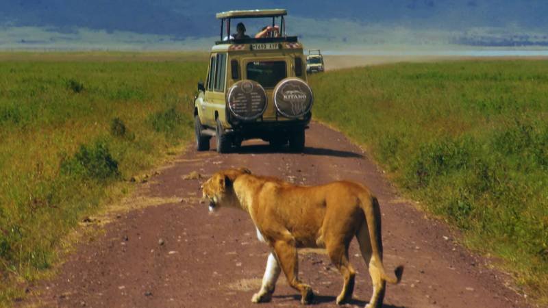 3 Day Tanzania Private Safari to Serengeti & Ngorongoro Crater