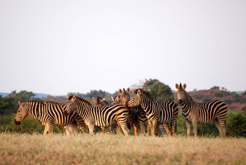 3 Day Tanzania Private Safari to Serengeti & Ngorongoro Crater