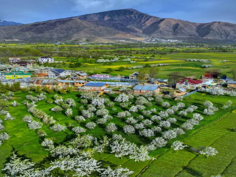 4 Nights 5 Days Srinagar to Srinagar tour package