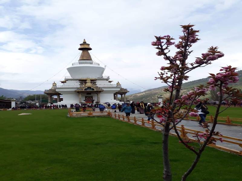 8 nights 9 days tour by land